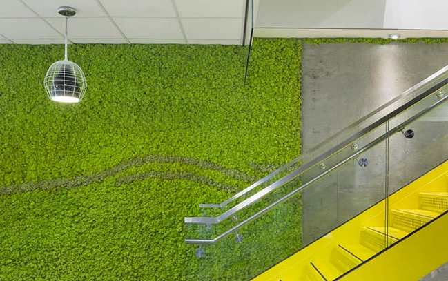 上海91视频黄色版