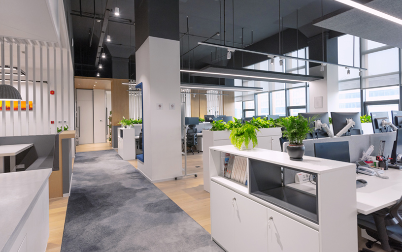 上海91视频一区二区